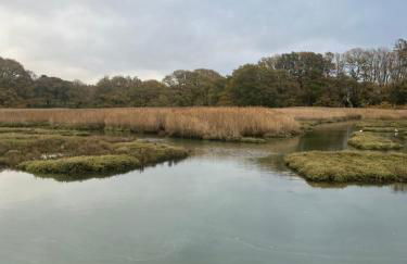 Apartment 288 - Foto 36