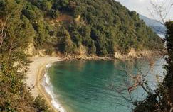 La Maison Golfo dei Poeti - Photo 56