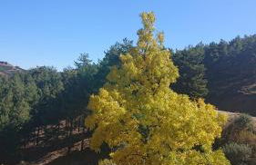 Cedra 5, Holiday home, cosy apartment - Foto 37