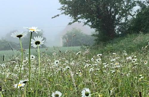 Le Bon Chemin gite - Foto 26