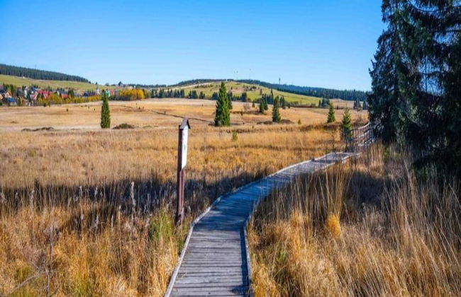 Snug Apartment in Jachymov near Ski Area - Photo 22