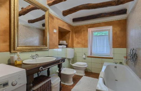 Villa Elena Buzet - Foto 54