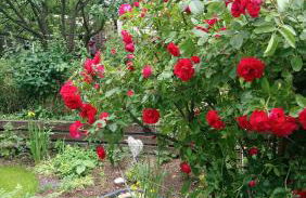 Apartment in Eibenstock 30354 - Foto 4