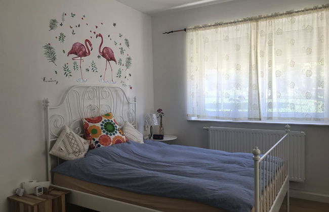 Ulm 2-room Apartment Near University & City Centre - Foto 1