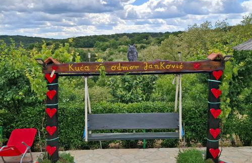 Kuća za odmor Janković - Foto 32