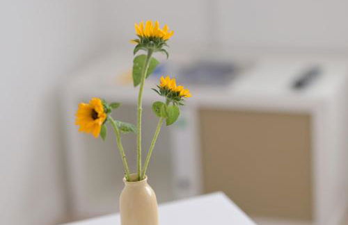 Gästehaus Hegerweg 2, Calden - Photo 25