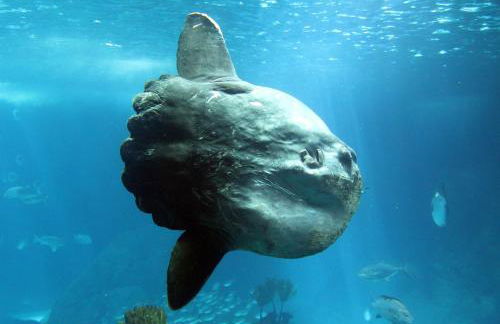 Casa René - Charming apartments - Foto 120