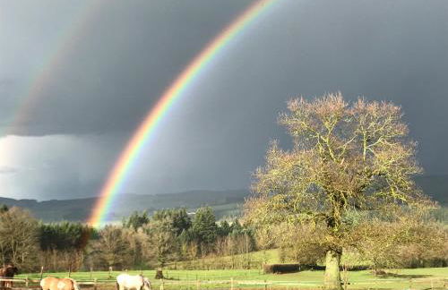 Les Perruchons ancienne grange rénovée avec soin - Foto 35