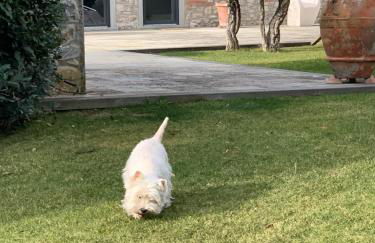 Appartamento in Villa con Piscina - Mhateria Relais - Foto 52