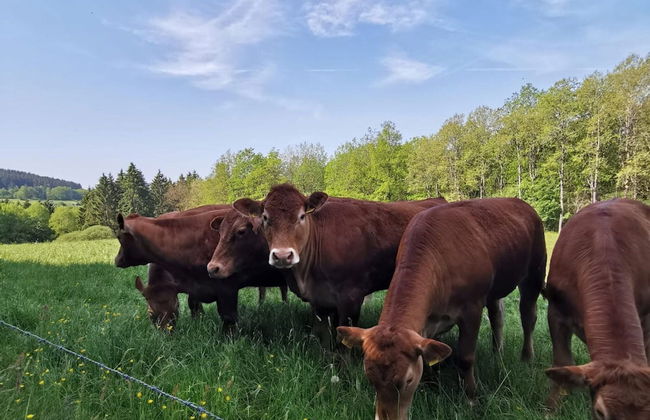 Cozy Apartment Near the Forest in Mark - Foto 15