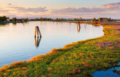 Villa magnolia - Foto 46