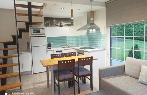 Apartamentos Puerta de Gijon - Foto 31