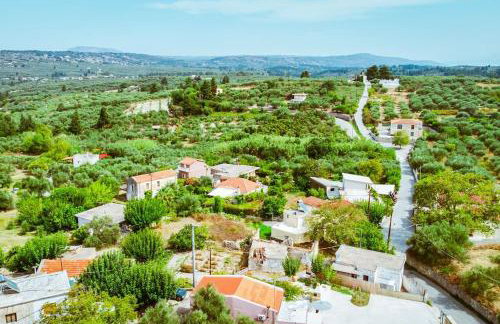 Xanthippi's - Foto 12