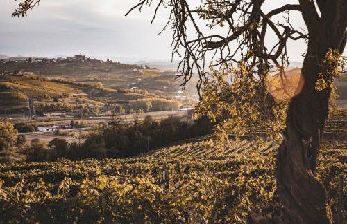 Villa Vinory Bricco di Nizza - Foto 26