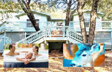 Pine Hills Cabin in Julian - Foto 1