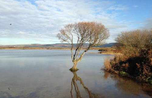 Kenfig Farm - Foto 34