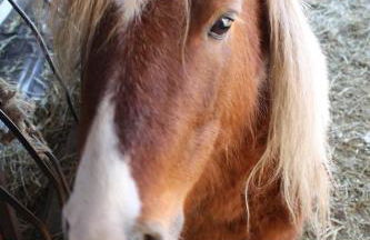 Paglia&Fieno - Photo 68