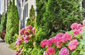 Berne Apartments - Foto 20