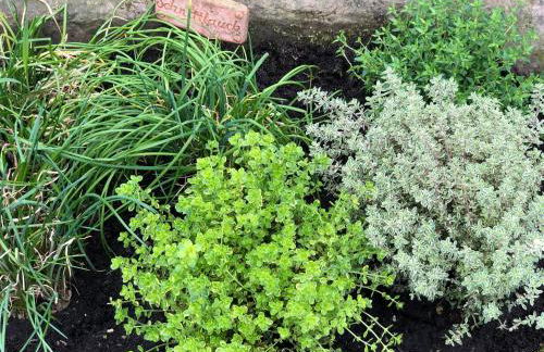 Ferien im Bomlitztal - Foto 28