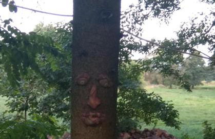 W starej szkole - agroturystyka - Foto 53