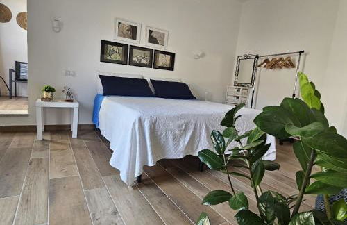 Rose e fiori - Foto 8