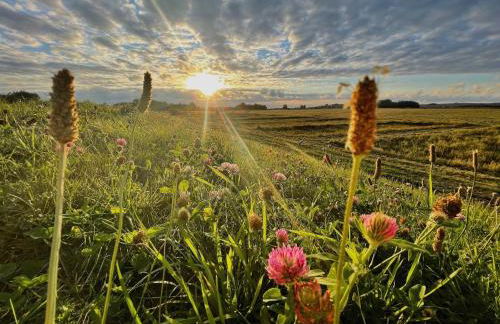 Haus Sterntaucher Ferienwohnung "Sonnenstern" - Foto 35