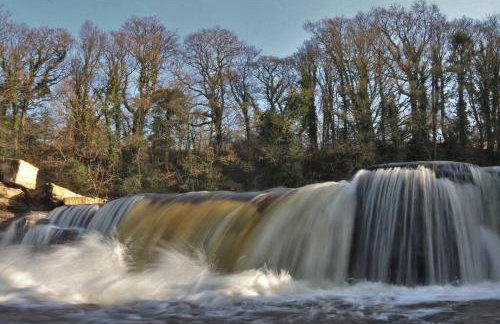 Wensleydale Halls - Photo 40