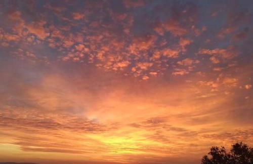 Κατοικία Πανόραμα, Πραγματευτή Λεωνιδίου, Τ.Κ.22300 - Photo 36