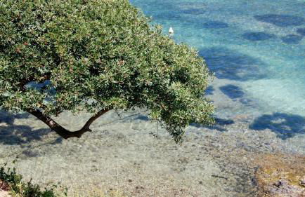 Lozari Beach - Foto 76