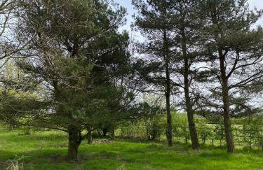 Entire flat 2 to 4 pers 1 bed 1 bath disabled access for limited disability - Foto 24