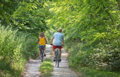 Poterne- Logement raffiné avec jardin - Foto 27