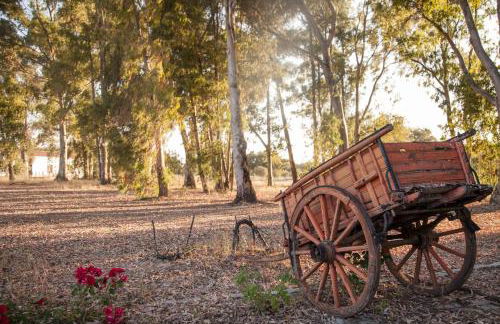 Stunning mansion in São Cristóvão - Photo 11