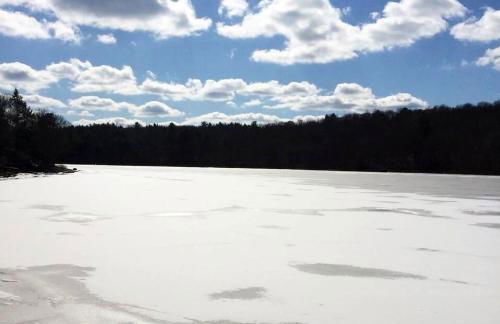 Whimsical Lakefront Chalet - Foto 18