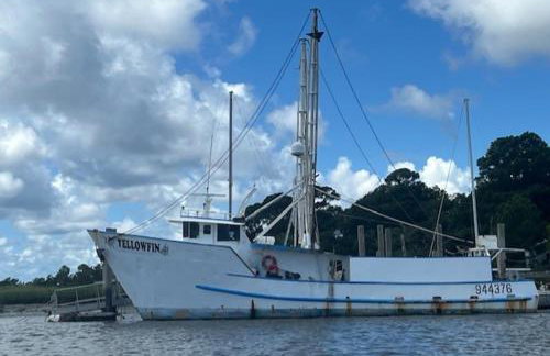 The Swan Treehouse - Foto 48