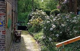 Feierabend im Grünen - Foto 14