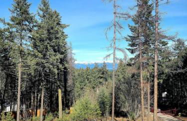 Blacktail Cabin Hideaway with hot tub - Foto 41