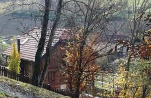 Vila Trnoružica - Foto 49