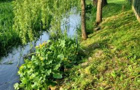 House Notturno - Photo 36