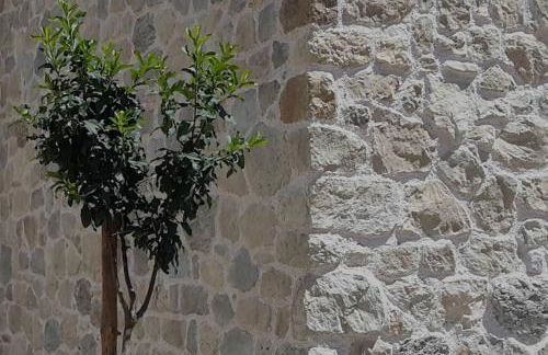 Rifugio del Gran Sasso - Foto 36