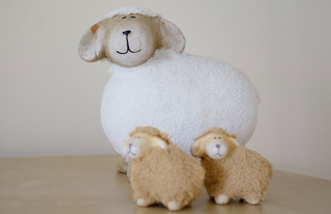 Apartment 2, Skye Holiday Apartments, Phoenix Flats - Photo 2