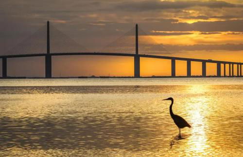 The Salty Cove IRB - Foto 37