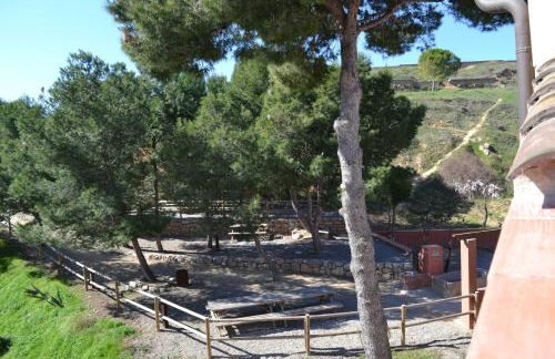 Ca la Trini Picotxa - Foto 39