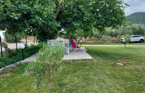 Bill & Eva's precious jewel - Photo 46