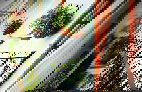 La Isabela Suites - Photo 40