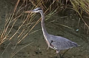 Pirates Bay B204 - Foto 40