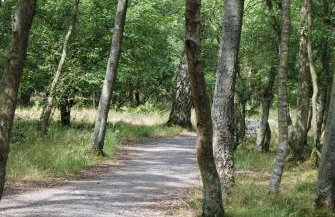 Carvetii - Borthwick House - Ground floor flat - Foto 18