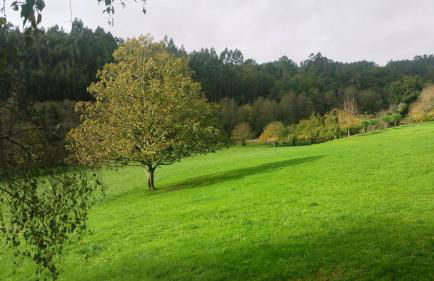 Casa Rural Graña da Acea - Foto 31