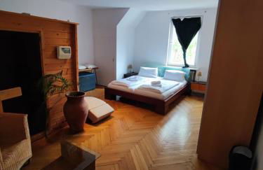 Altbau-Traum mit Riesen-Dachterrasse - Foto 8