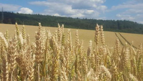 Apartment Lia - Foto 2