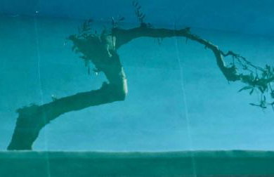 SEA BREEZE STUDIO - Foto 70